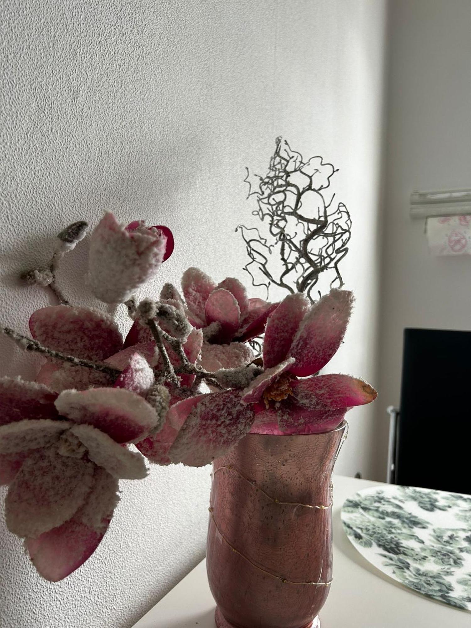 Gemuetliche Ferienwohnung-Appartement Bad Oeynhausen Buitenkant foto